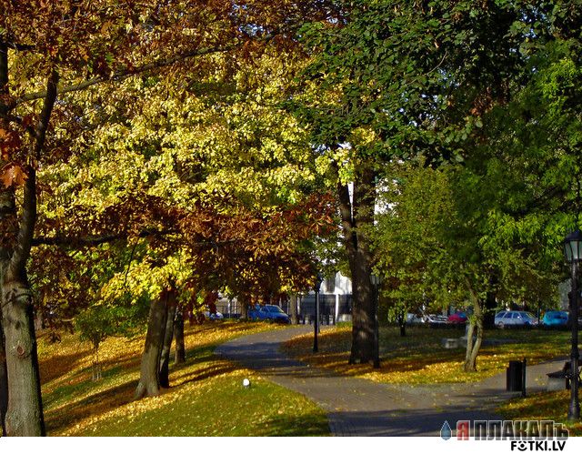 Осень