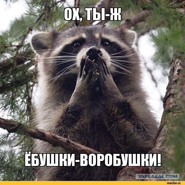 Олигархи, трепещите! Жуткая мукла-охотница за олигархами - Сандра Бурмистрова
