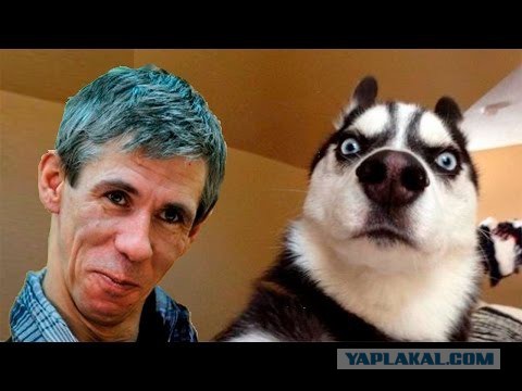 Эй, красотка, новый айфон не хочешь?