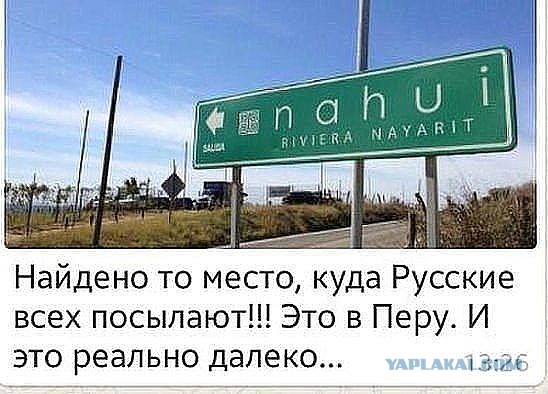 Тесака приговорили к девяти годам колонии