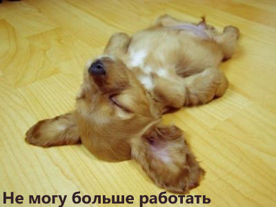 С ПЯТНИЦЕЙ!