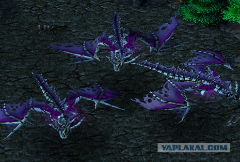 WarCraft 3 исполняется 15 лет
