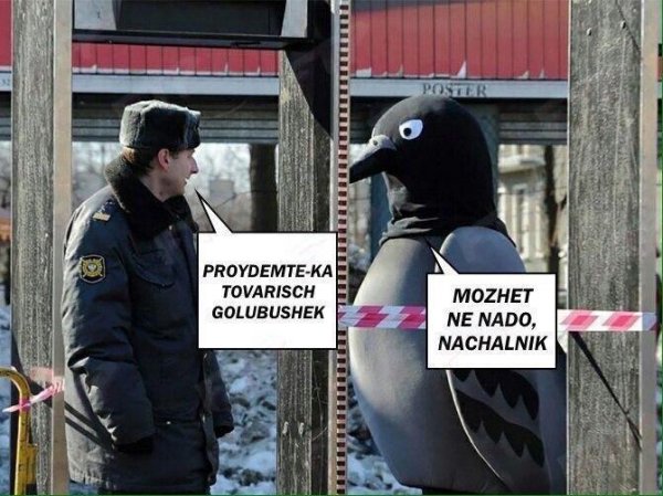Приколы в стиле "регресс"