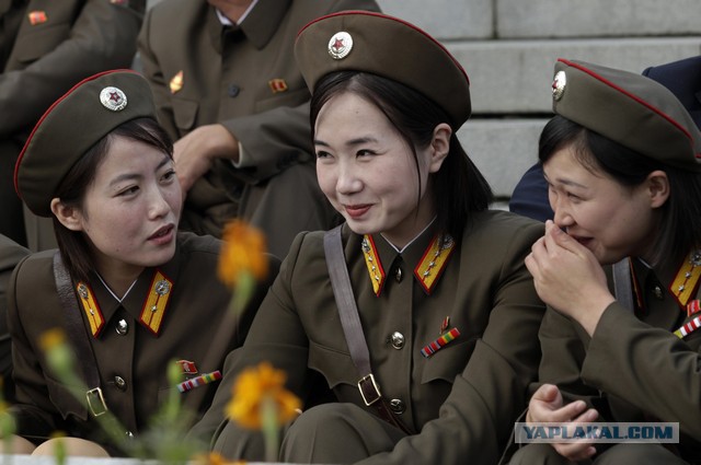 Северная Корея. Ким и прочее