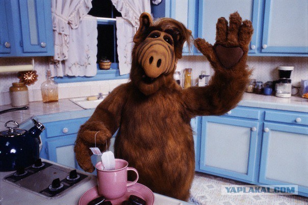 10 причин верить в существование внеземной жизни