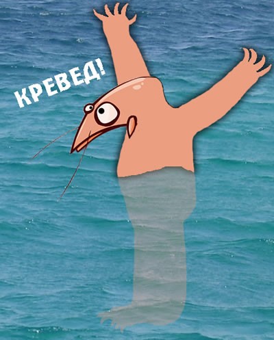 Жена из деревни, плюсы и минусы. Воображаемый Молочный брат