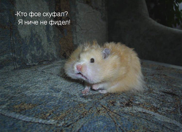 Весёлая подбока зверей (9 штук)