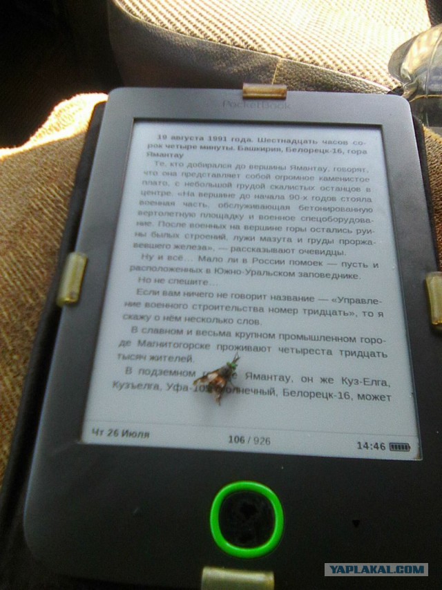 Командировка. В леса