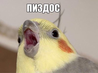 "Отряды Путина" записали видеообращение к американцам