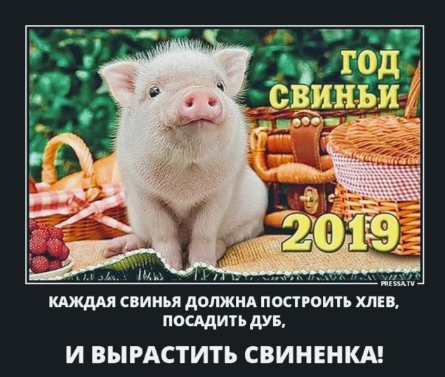 Я тоже хочу попробЫвать с картинками