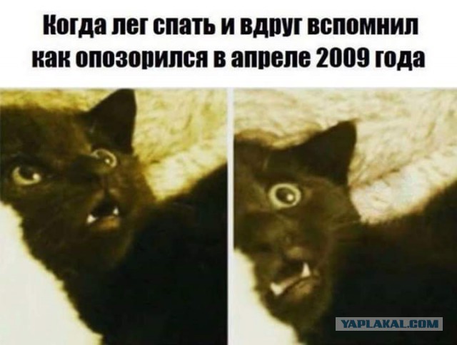 Случай на корпоративе. Праздник к нам пришёл