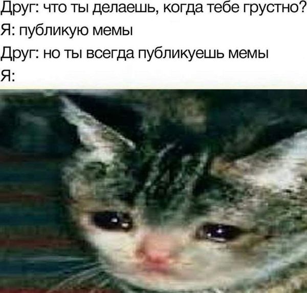 Куда катится жизнь