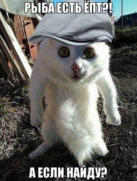 Отпустите мужа на свободу!