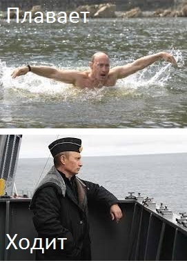 Ходит или плавает?