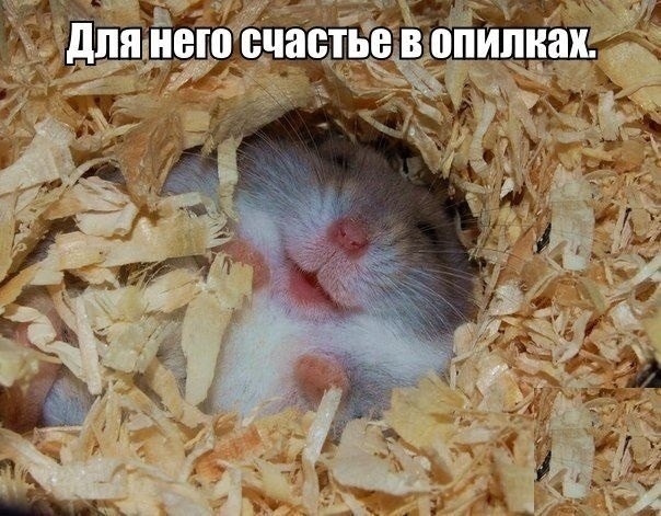 Чуток картинок. Ночные 6