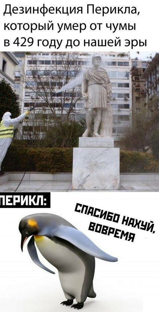 Ортодоксальные евреи против карантина