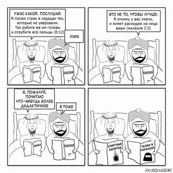 Невинность мусульман