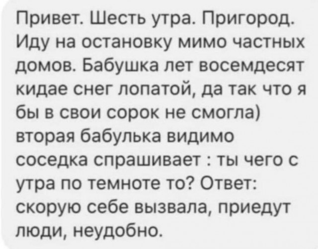 Насохранял