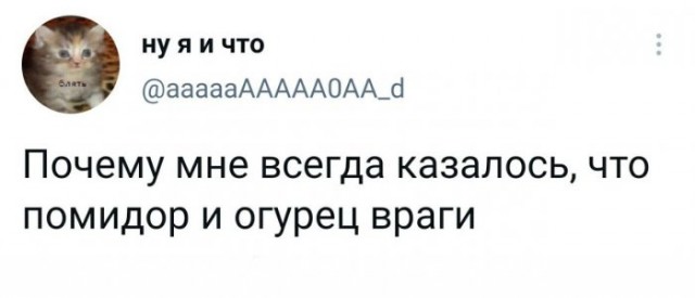 Картинки и мемы для настроения