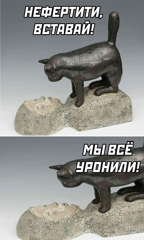 Картинки и мемы для настроения 27.07.2021