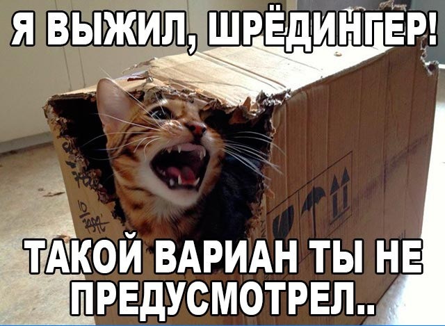 Раб, тебе хана, когда приедем