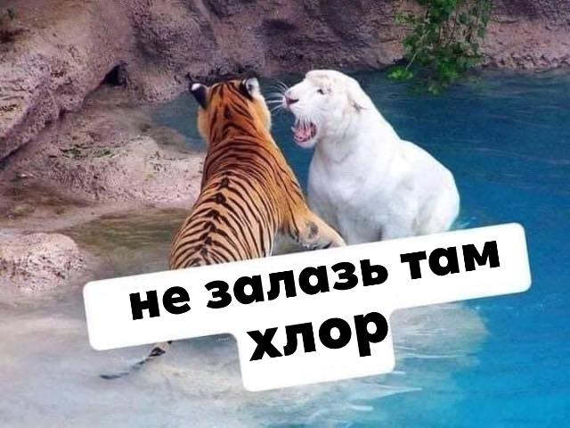 Картинки 12.09.21