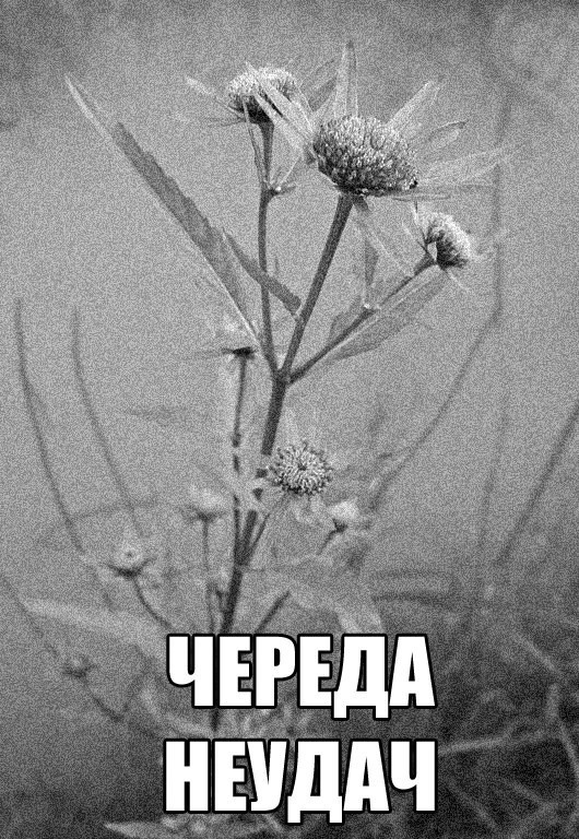 Народная меДИЧина 5023