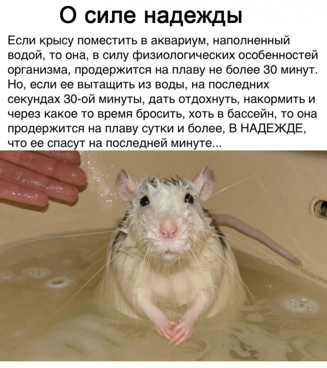 Немного картинок для настроения