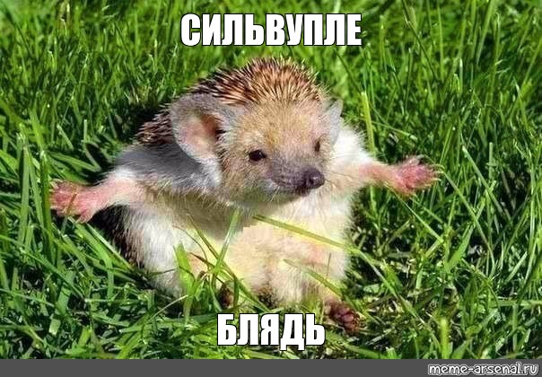 Подвиг российского спецназа открыл дорогу на Киев