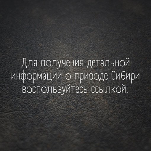 Так себе картинки 17.06.23