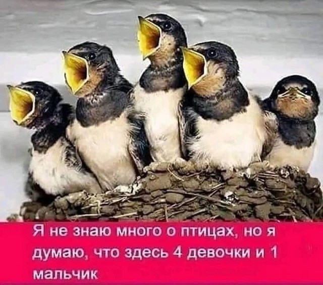 Какая пятница такие и картинки