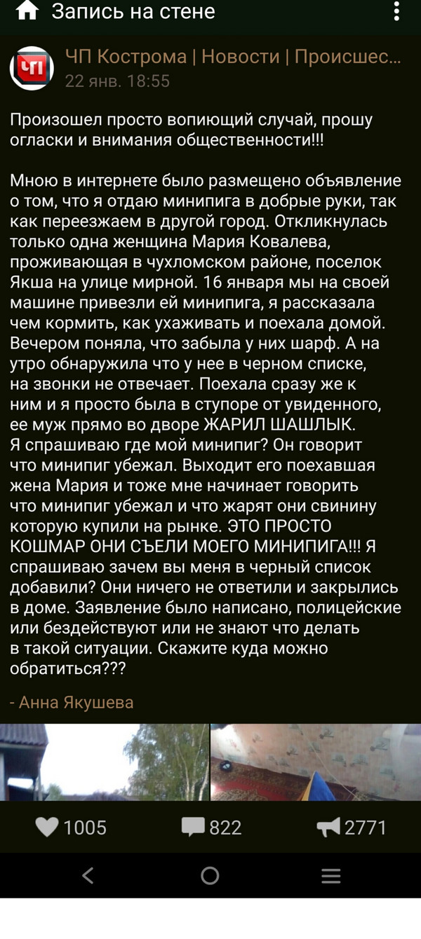 В Балашихе из огня спасли семью, их соседей и целый выводок мини-пигов