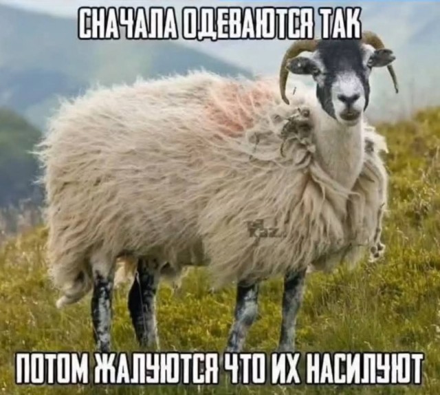 Маленькая пятница 11.06
