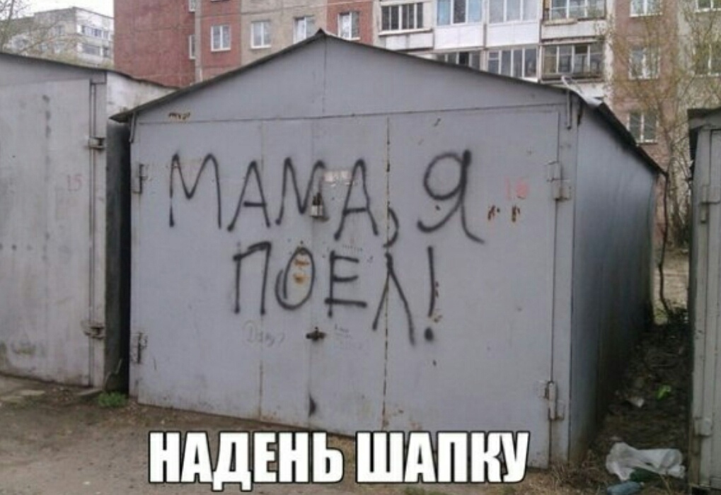 20178575.jpg