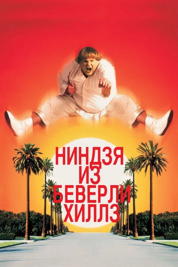 Забытые видеокассеты VHS, которые брали из видеопроката или у знакомых