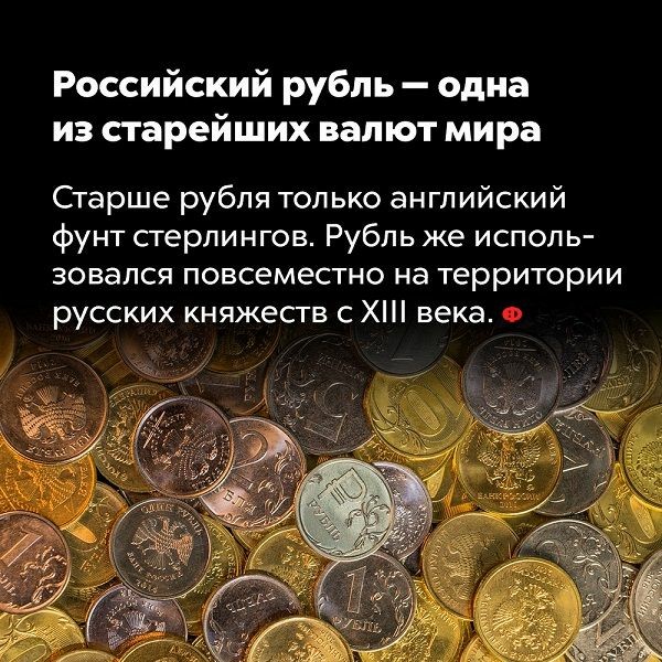 Куча мала 15, последняя