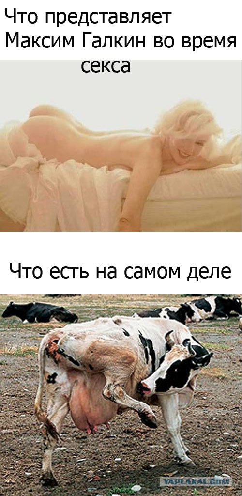 Пугачева и Галкин