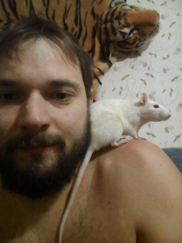 Ап! И крысы у ног моих сели!