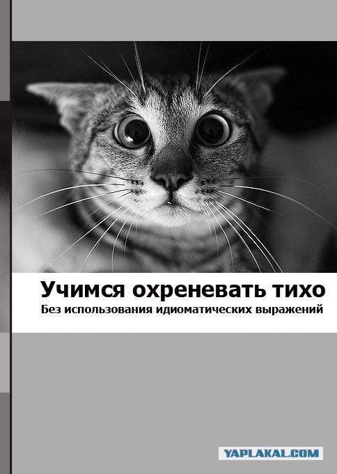 Дорога на Тарнополь