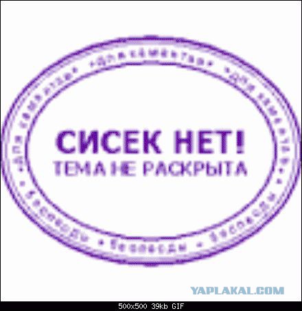 Строительство рубленной бани из кедра