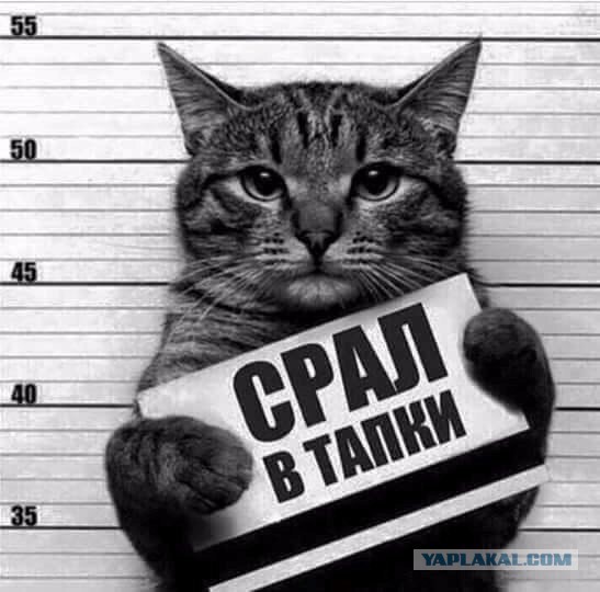 Новые трудовыебудни