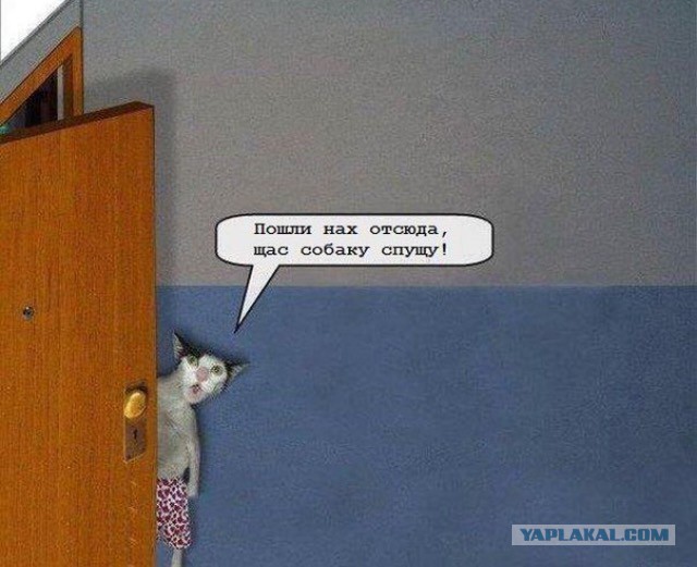 Забавные картинки из Сети