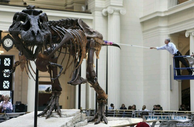 Динозавры России