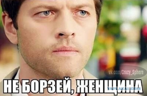 Гифка на случай важных переговоров