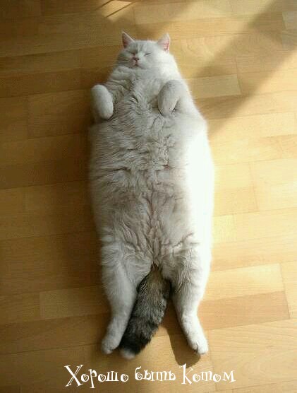 Подборка интересных и веселых картинок