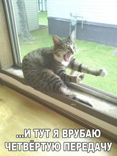 Немного картинок и гифок для пятничного настроения.