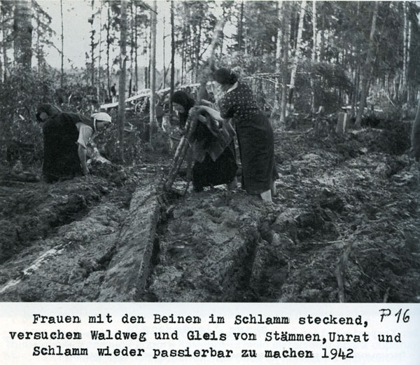 Волховский фронт. 1942. Взгляд с той стороны.