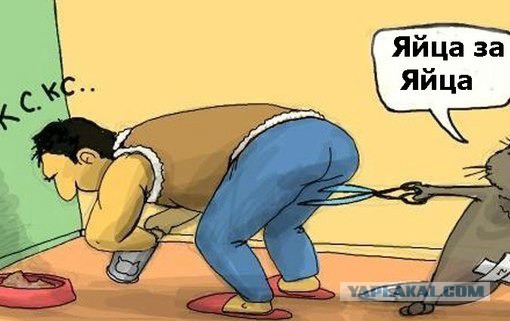 Зверь растёт