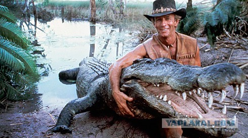 Что-то жрёт крокодилов на Ладоге. Ужс.