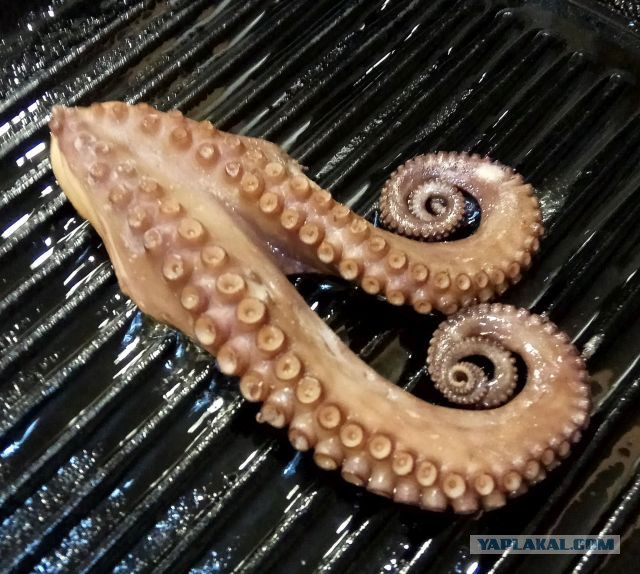 Средневековое застолье (Дню Повара посвящается!)